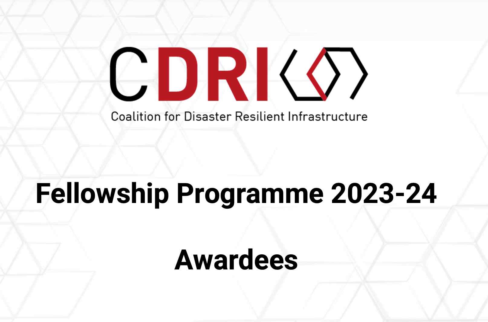 CDRI Fellowship Programme 2023-24 Cohort announced at ICDRI 2023