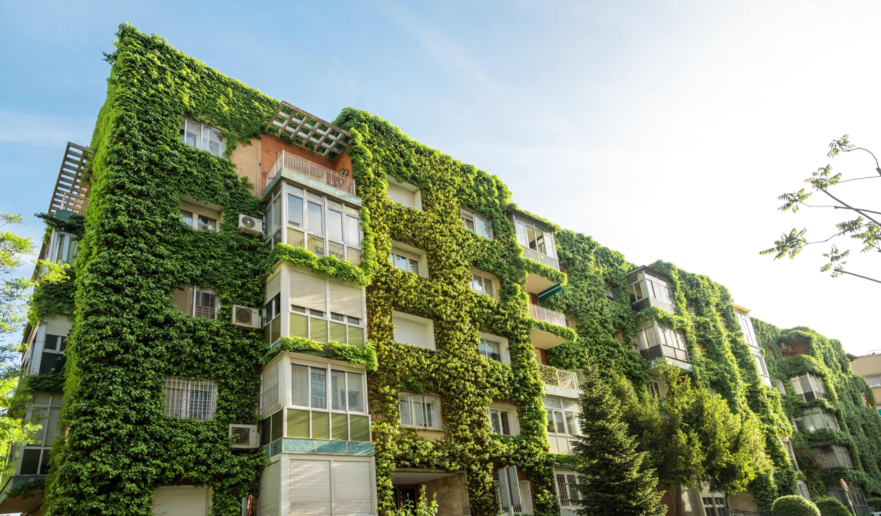 Green building (2)