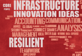 CDRI Fellowships: Announcing the Cohort of 2023-2024