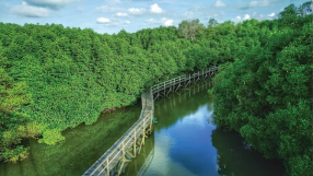 DRI Dialogue to mark the 'International Day for the Conservation of the Mangrove Ecosystem'